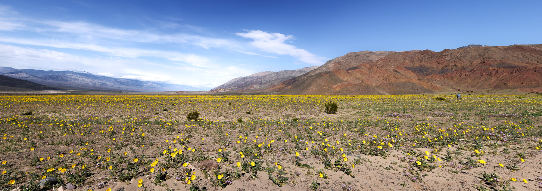 Death Valley photo titled Death Valley 53